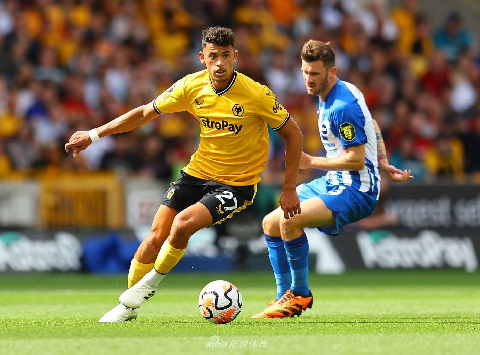 验证过的夺 验证过的夺